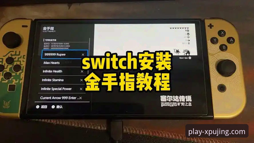 新普京游戏体验安装教程 官方下载 vs 手动安装:新普京游戏体验安装教程全解析,新手必看指南